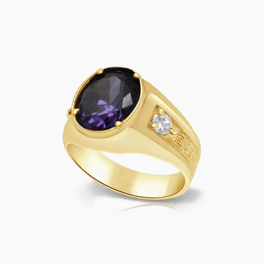10K Yellow Gold Men’s Ring with Oval Purple CZ Center Stone