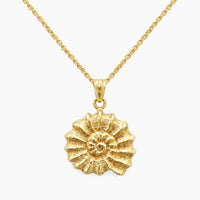 14K Yellow Gold Shell Chain & Pendant, 16