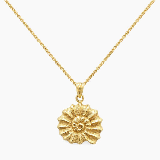 14K Yellow Gold Shell Chain & Pendant, 16", 3.3g
