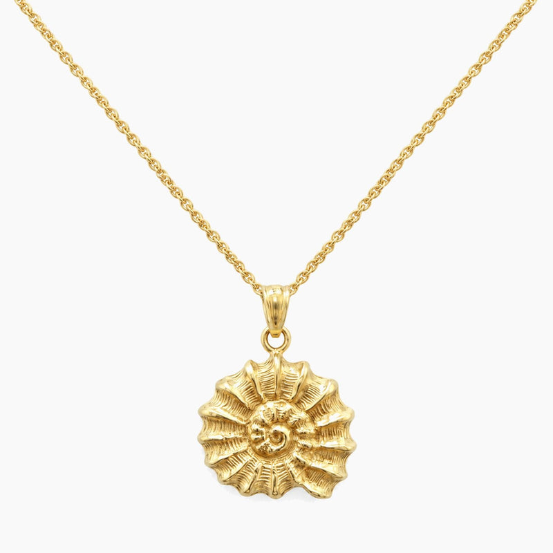 14K Yellow Gold Shell Chain & Pendant, 16